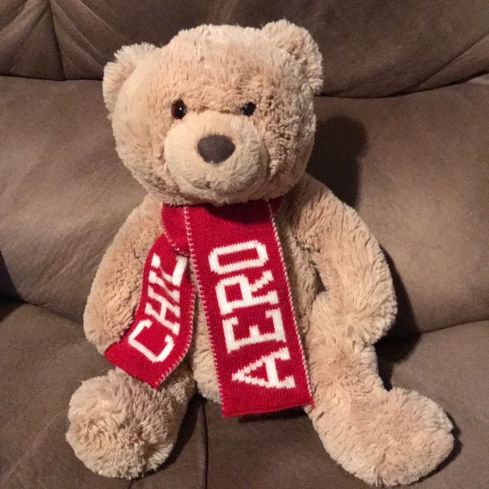 Aeropostale Bear